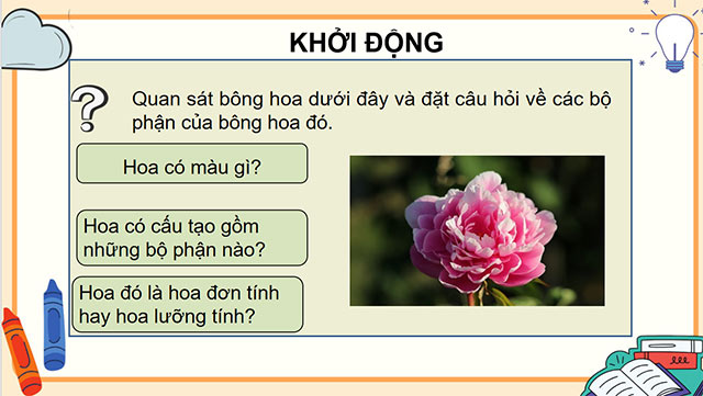 PowerPoint Sự sinh sản của thực vật có hoa