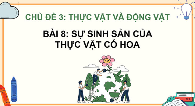 PowerPoint Sự sinh sản của thực vật có hoa
