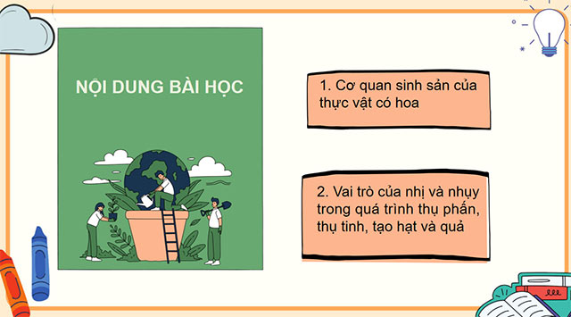 PowerPoint Sự sinh sản của thực vật có hoa