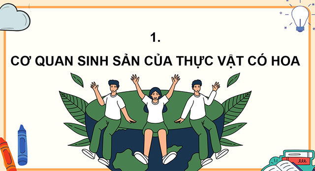 PowerPoint Sự sinh sản của thực vật có hoa