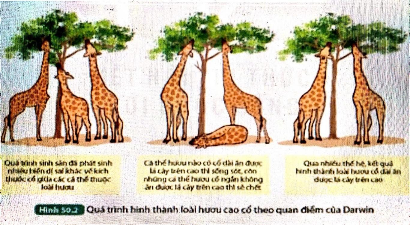 Đề thi cuối kì 2 KHTN 9 Kết nối tri thức