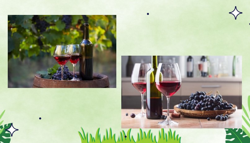 Bài giảng PowerPoint KHTN 9 Kết nối tri thức Bài 26