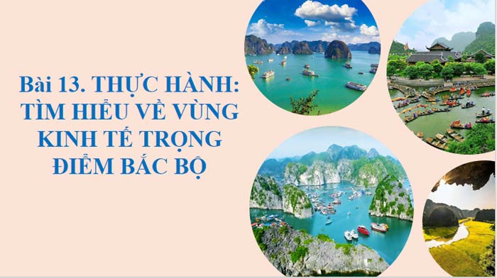 Giáo án Địa lí 9 Bài 13