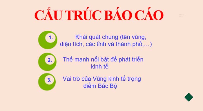 Giáo án Địa lí 9 Bài 13