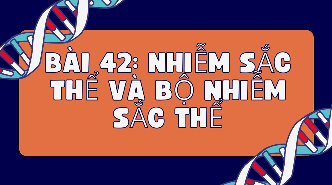Bài giảng PowerPoint KHTN 9 Kết nối tri thức Bài 42