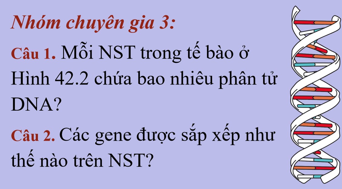 Bài giảng PowerPoint KHTN 9 Kết nối tri thức Bài 42