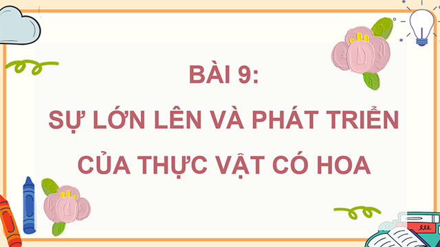 PowerPoint Sự lớn lên và phát triển của thực vật có hoa