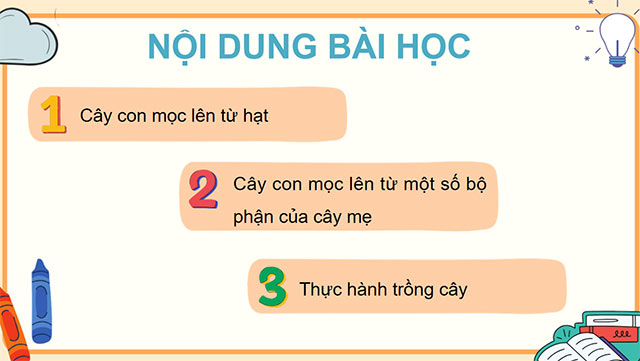 PowerPoint Sự lớn lên và phát triển của thực vật có hoa