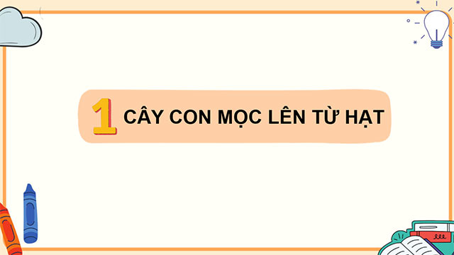 PowerPoint Sự lớn lên và phát triển của thực vật có hoa