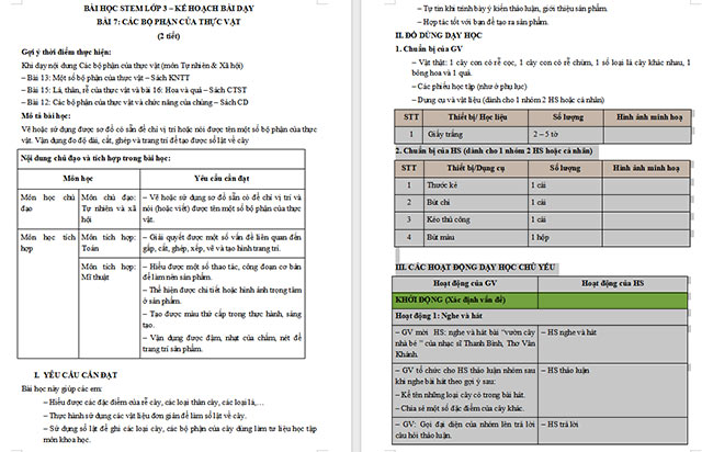 Giáo án Word STEM Các bộ phận của thực vật