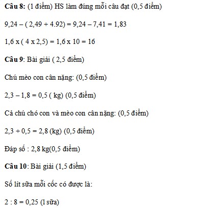 de thi hoc ki 1 toan 5 canh dieu 4*388750