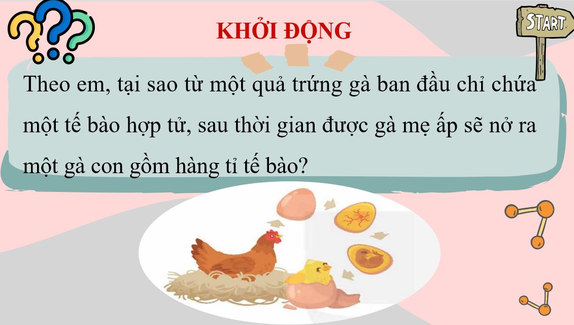 Kế hoạch bài dạy KHTN 9 Kết nối tri thức Bài 43