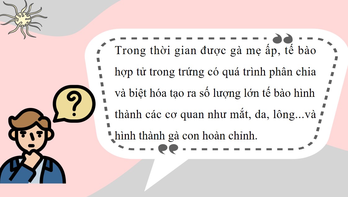 Kế hoạch bài dạy KHTN 9 Kết nối tri thức Bài 43