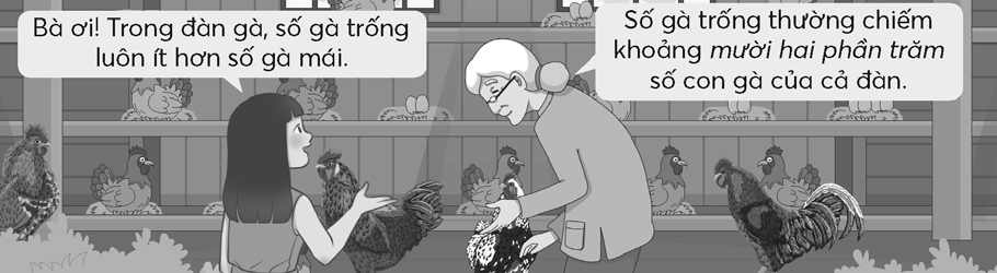 Kế hoạch bài dạy Toán 5 Chân trời sáng tạo Bài 56