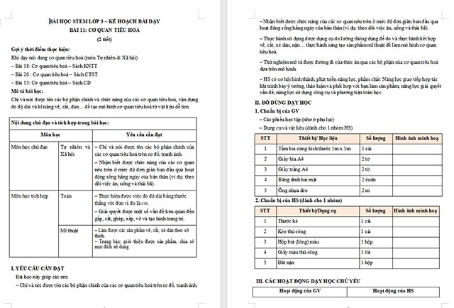 Giáo án Word STEM Làm mô hình cơ quan tiêu hóa