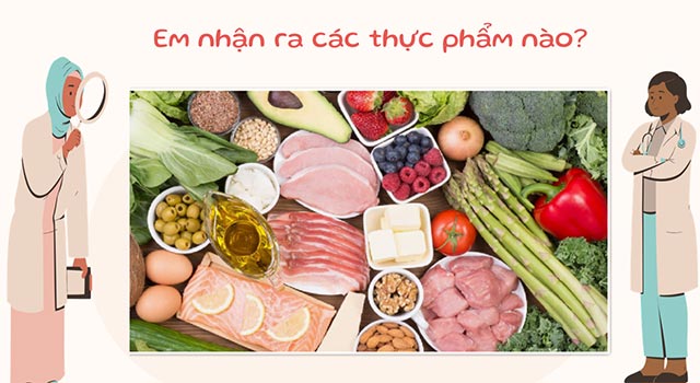 PowerPoint STEM Làm mô hình cơ quan tiêu hóa