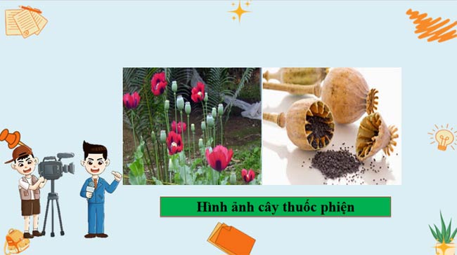 Giáo án điện tử Lịch sử 8 Bài 14