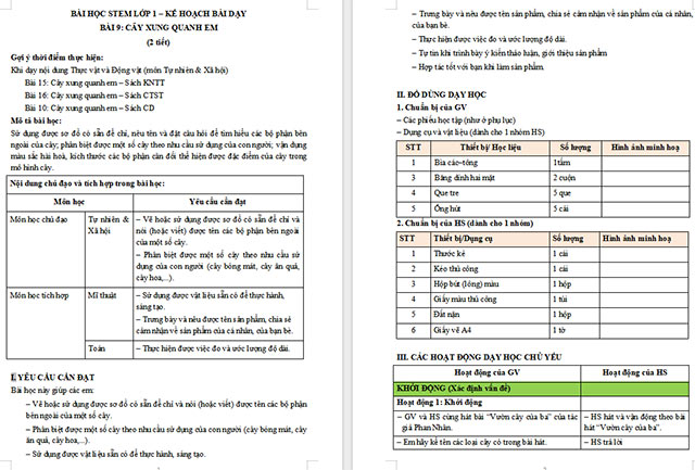 Giáo án Word STEM Mô hình cây