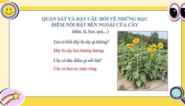 PowerPoint STEM Làm mô hình cây