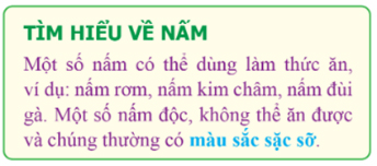 Đề cương Tin học lớp 5 cuối kì 1 Cánh Diều