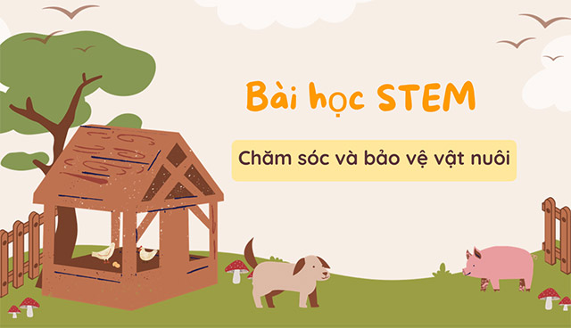 PowerPoint STEM Làm nhà cho vật nuôi