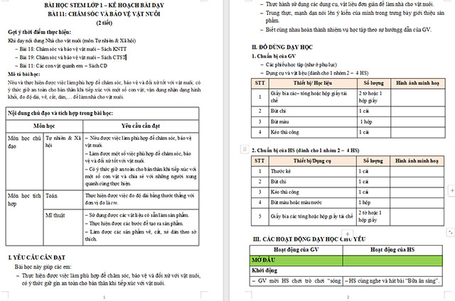 Giáo án Word STEM Chăm sóc và bảo vệ vật nuôi
