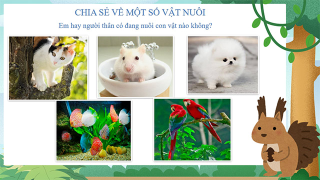PowerPoint STEM Làm nhà cho vật nuôi