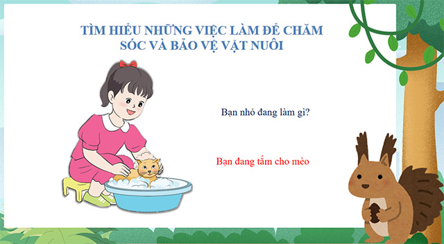 PowerPoint STEM Làm nhà cho vật nuôi