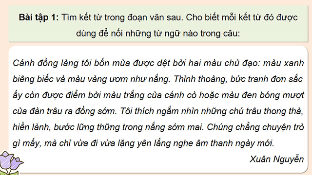 PowerPoint Luyện từ và câu: Luyện tập về đại từ và kết từ