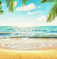 Cấu tứ bài thơ Nghỉ hè của Xuân Tâm