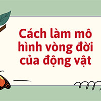 PowerPoint STEM Vòng đời của động vật