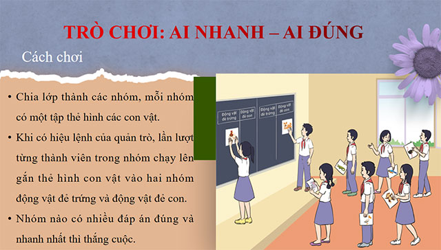 PowerPoint STEM Vòng đời của động vật 