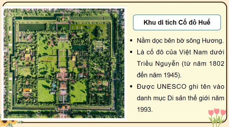 PowerPoint Bài 13: Triều Nguyễn