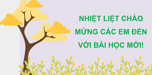 PowerPoint Viết đoạn văn thể hiện tình cảm, cảm xúc (Ôn tập)