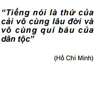 PowerPoint Ngữ Văn 12 Bài 8: Thực hành tiếng Việt: Giữ gìn và phát triển tiếng Việt