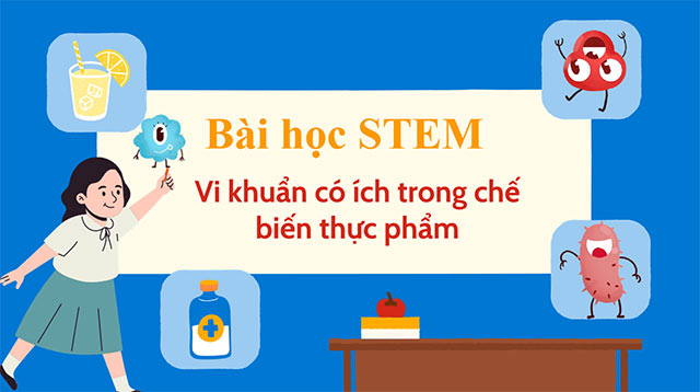 PowerPoint STEM Vi khuẩn có ích trong chế biến thực phẩm