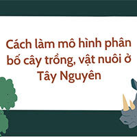 PowerPoint STEM Dân cư và hoạt động sản xuất vùng Tây Nguyên