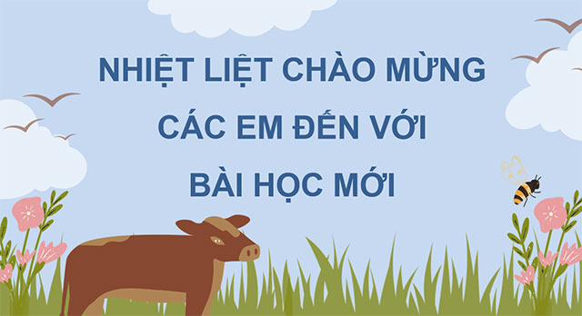 PowerPoint Đọc: Ngôi nhà chung của buôn làng
