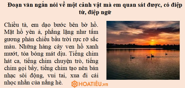 Đoạn văn về một cảnh vật mà em quan sát được, có điệp từ, điệp ngữ