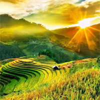 Tả cảnh đẹp thiên nhiên nơi em ở vào một buổi trong ngày