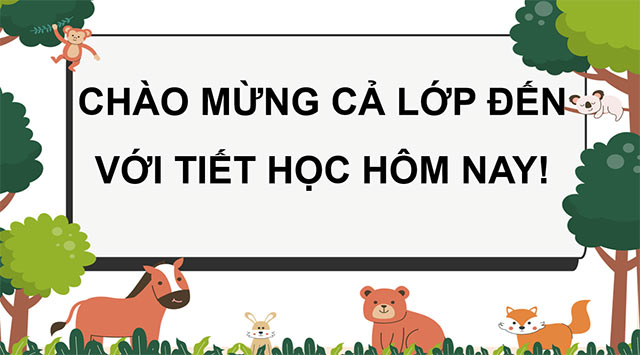 PowerPoint Sự sinh sản ở động vật đẻ trứng và động vật đẻ con