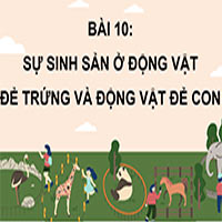 PowerPoint Khoa học 5 Bài 10: Sự sinh sản ở động vật đẻ trứng và động vật đẻ con