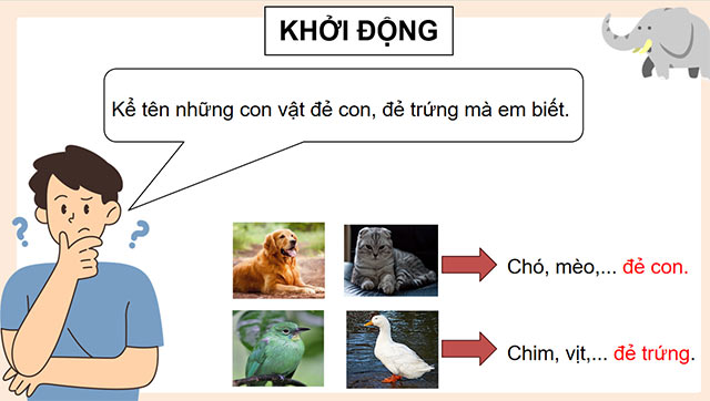 PowerPoint Sự sinh sản ở động vật đẻ trứng và động vật đẻ con