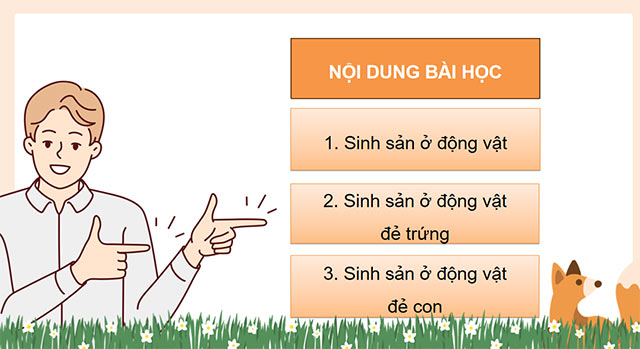 PowerPoint Sự sinh sản ở động vật đẻ trứng và động vật đẻ con