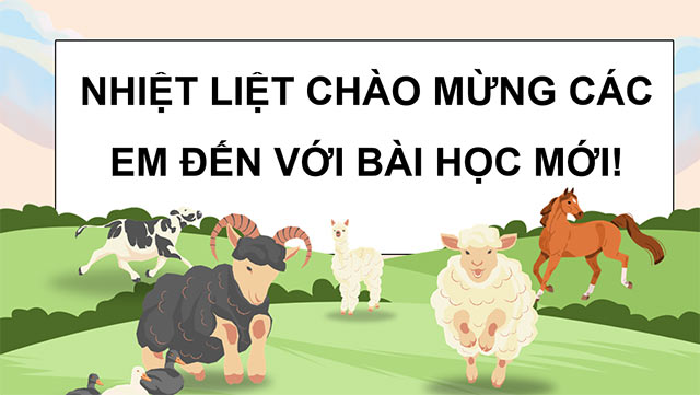 PowerPoint Vòng đời của động vật đẻ trứng và động vật đẻ con