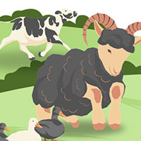 PowerPoint Khoa học 5 Bài 11: Vòng đời của động vật đẻ trứng và động vật đẻ con