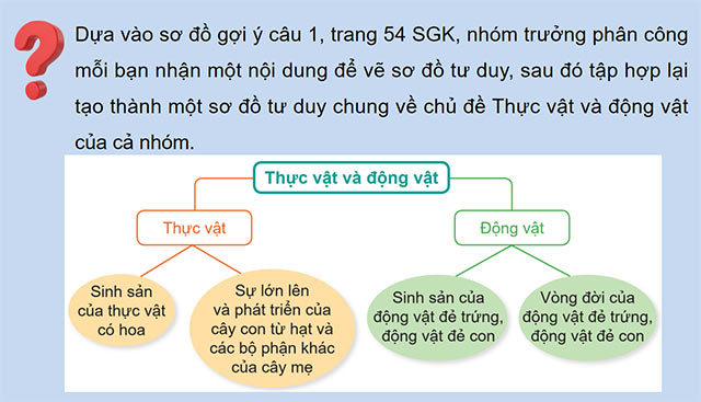 PowerPoint Ôn tập chủ đề Thực vật và động vật