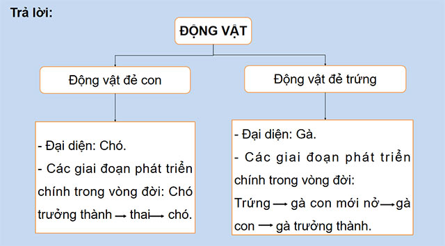 PowerPoint Ôn tập chủ đề Thực vật và động vật