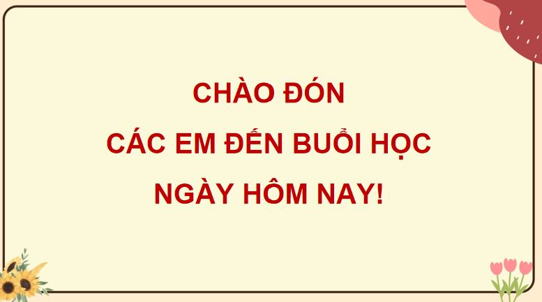 PowerPoint Hoạt động trải nghiệm 5 Tuần 18