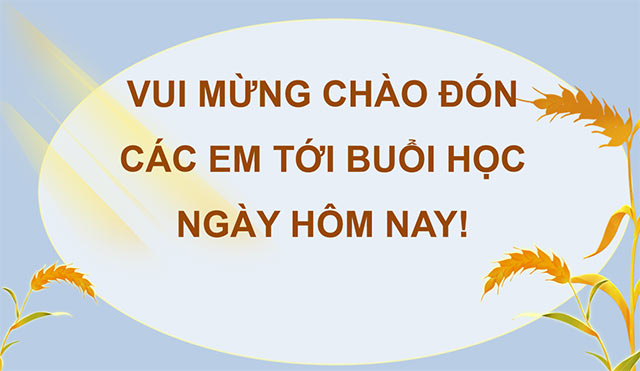 PowerPoint Đọc: Từ những cánh đồng xanh